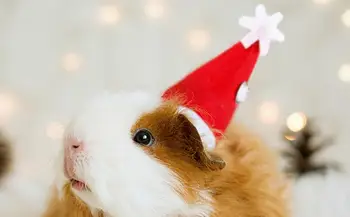Рождественский костюм для маленьких животных, регулируемые Декоративные Плюшевые шапочки Санты для хомяка, мягкий костюм хомяка для маленьких домашних животных с милой прической