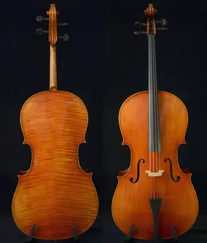 Актуальное фото Выдающейся по звучанию работы мастера виолончели Вана, 200-летняя ель № W24, 2023 год.