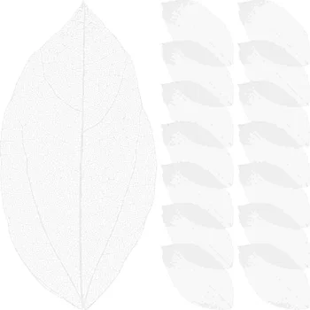 36 шт Высушенных прессованных листьев, Материалы ручной работы, Натуральный Лист для украшения ручной работы