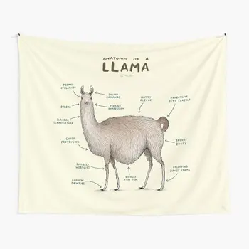 Анатомия ламы Художественное гобеленовое одеяло для спальни Красивое покрывало с домашним принтом, полотенце, висящее на стене, декор для гостиной, путешествия, Йога