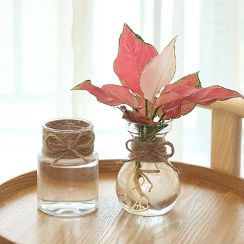 Прозрачный Водный цветочный горшок из искусственного стекла, Маленький Цветочный горшок для посадки, Мини-горшок, Настольная Зеленая Ваза для растений из смолы Оптом