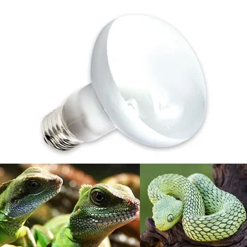 Лампа Черепаха Ящерицы свет Лампы для нагрева температуры рептилий Греющиеся амфибии Контроллер лампы