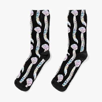 Носки для мозга и позвоночника Funfetti (с темным рисунком), детские носки для мальчиков из спортзала, женские