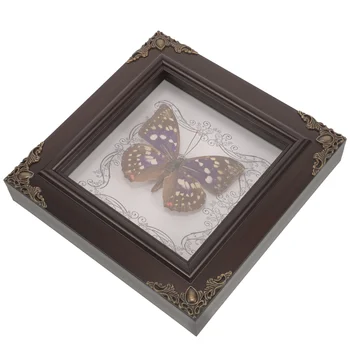 Дисплей с образцами бабочек в рамке, Деревянная Рамка, Декор для бабочек, Настольное украшение